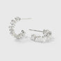 Iggy Earrings Silver